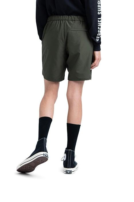 Lazy Image
