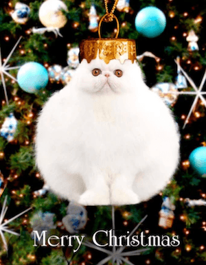 Kids collection banner